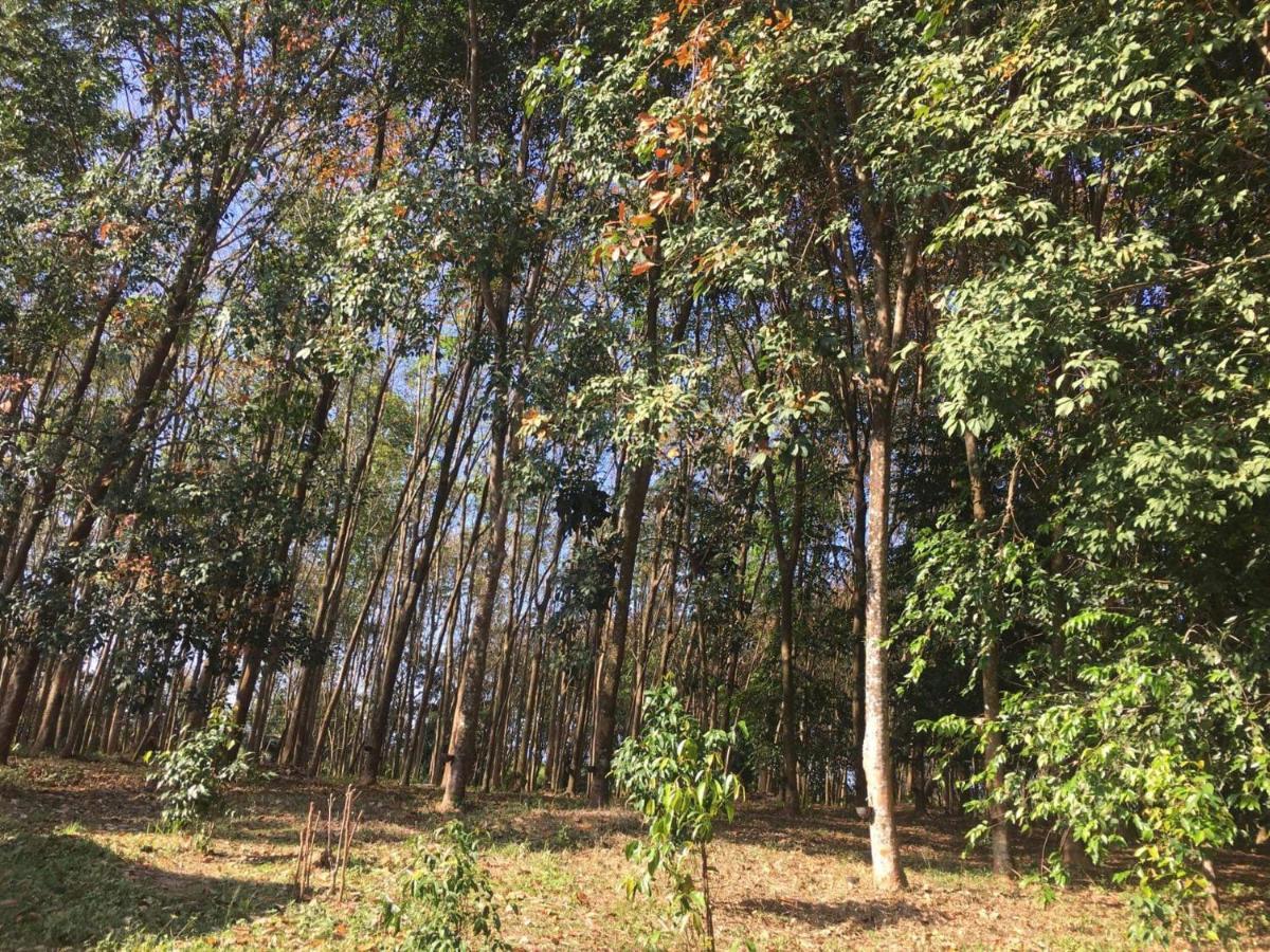 Mr Bao Homestay & Bungalows Ко Яо Ной Екстериор снимка